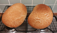 Bearded Baker Mini Tiger Bloomers